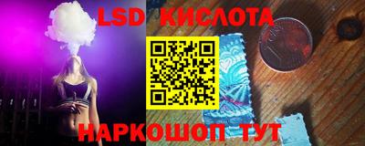 прущие грибы Ярославль