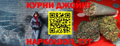 прущие грибы Ярославль